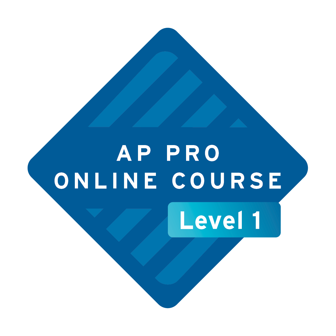 ap-pro-video-training-course